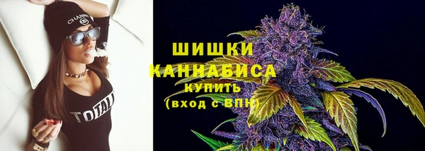 дмт Николаевск-на-Амуре